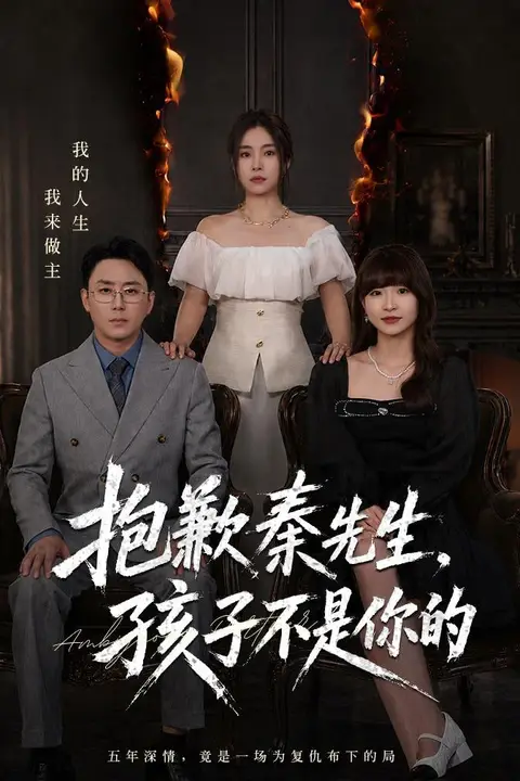 《抱歉秦先生，孩子不是你的》封面