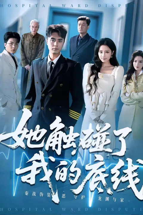《她触碰了我的底线》封面