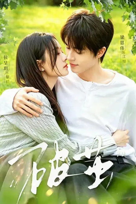 《破茧》封面