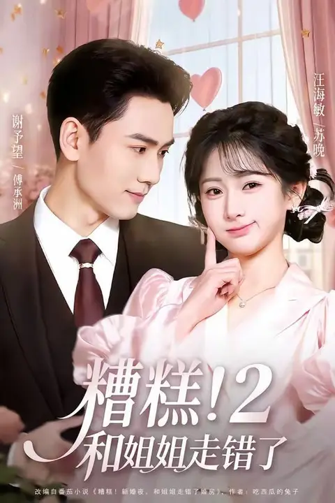 《糟糕！和姐姐走错了第2部》封面