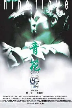 《青花》封面