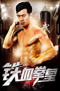 《铁血拳皇》封面