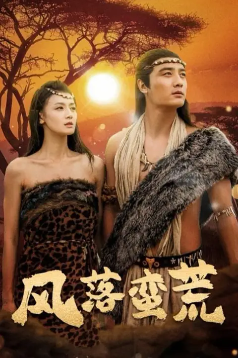 《风落蛮荒》封面