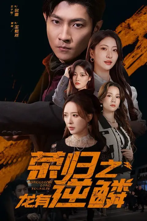 《荣归之龙有逆鳞》封面