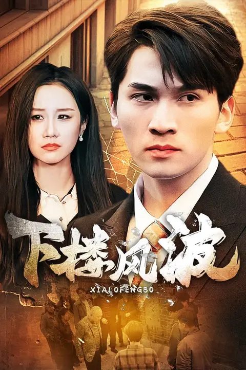 《下楼风波》封面