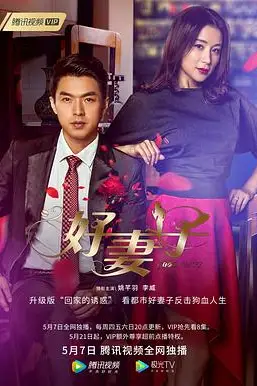 《好妻子》封面