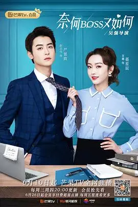 《奈何BOSS又如何(越南语版)》封面