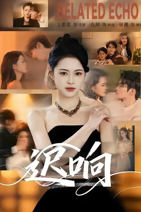《迟响》封面