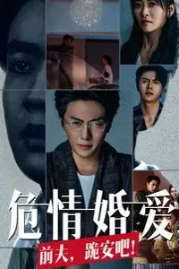 《危情婚爱前夫跪安吧》封面