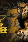 《女蜂王游戏》封面