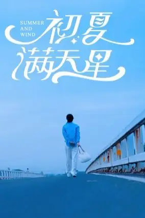 《初夏满天星》封面
