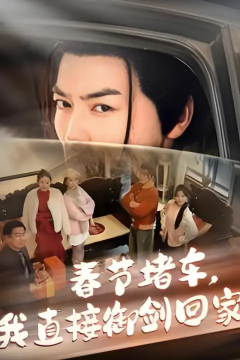《春节堵车我直接御剑飞行回家》封面