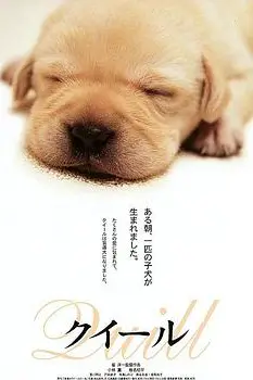 《导盲犬小Q》封面