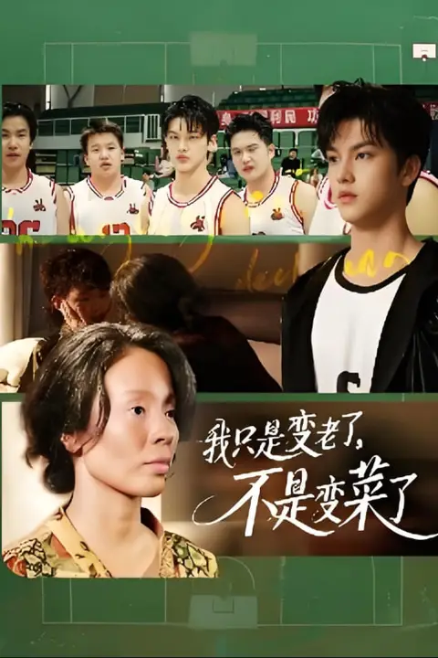 《我只是变老了，不是变菜了》封面
