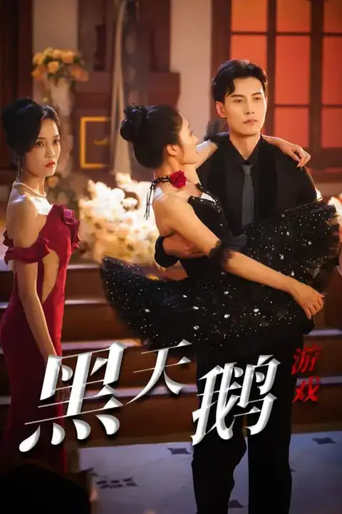 《黑天鹅游戏》封面