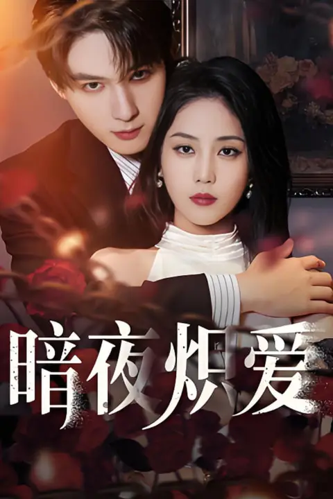 《暗夜炽爱》封面