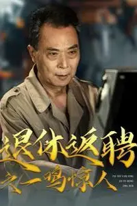 《退休返聘之一鸣惊人》封面
