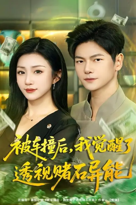 《被车撞后，我觉醒了透视赌石异能》封面