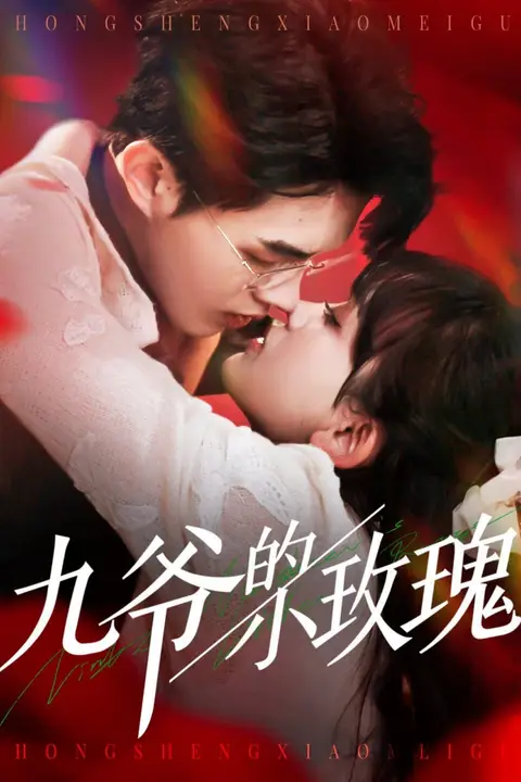 《九爷的小玫瑰》封面