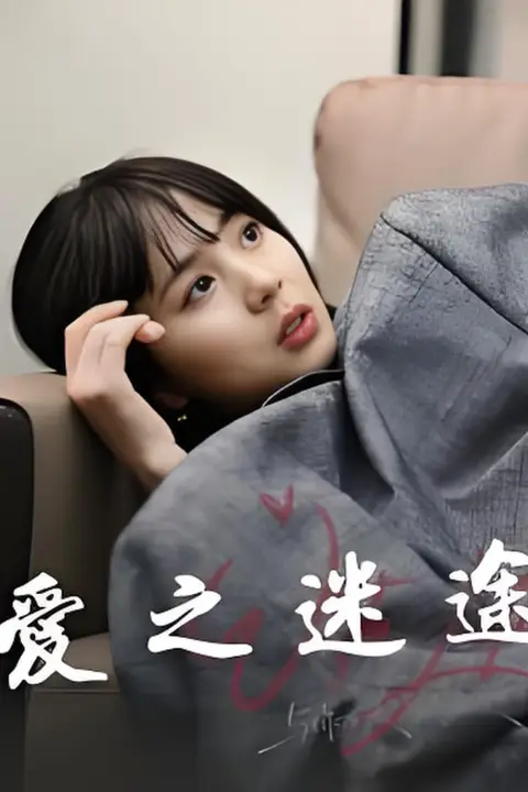 《爱之迷途》封面