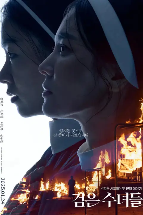 《黑修女们》封面