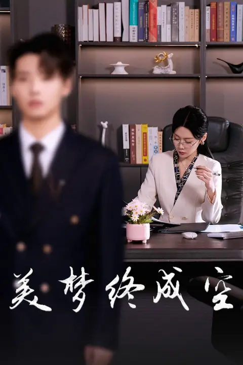 《美梦终成空》封面