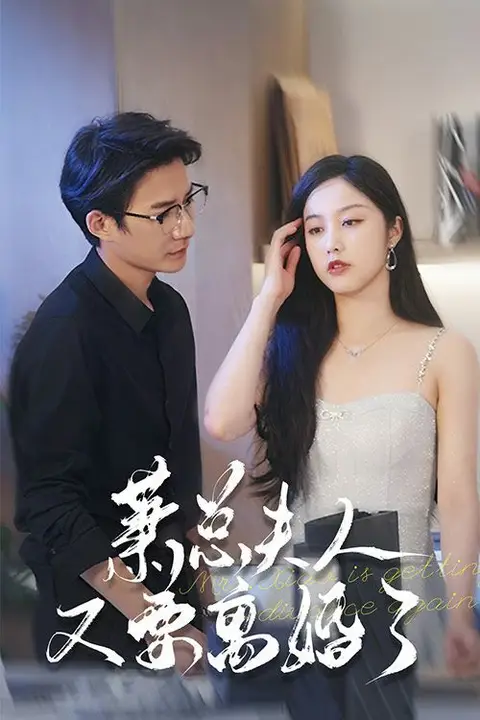 《萧总夫人又要离婚了》封面