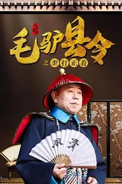 《毛驴县令之歪打正着》封面