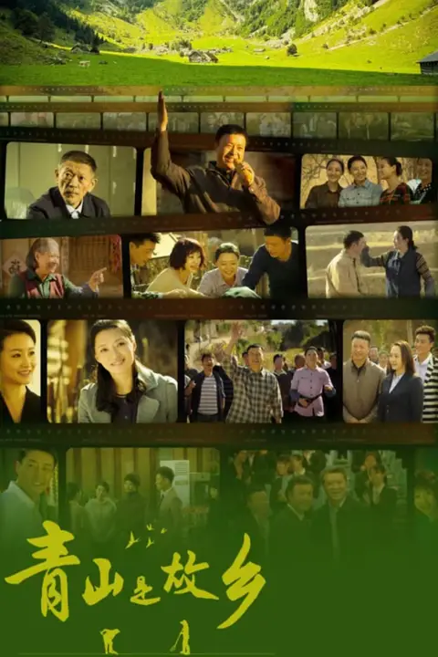 《青山是故乡》封面