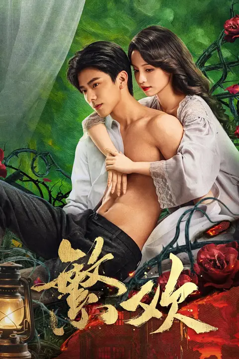 《繁欢》封面