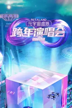 《RetaLand元宇宙虚拟跨年演唱会》封面