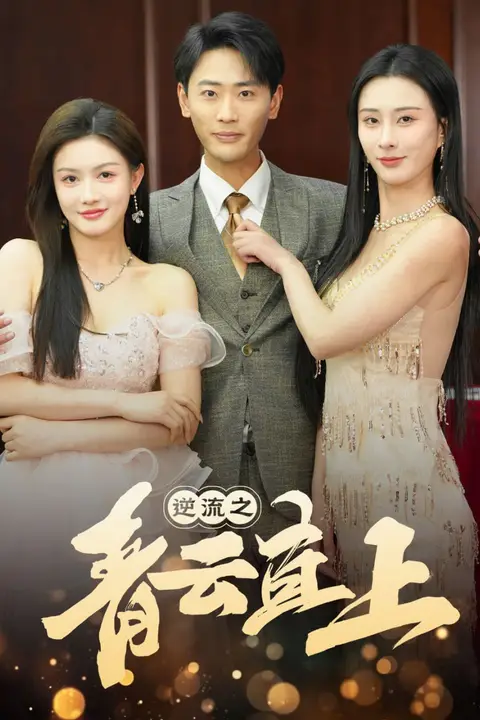 《逆流之青云直上》封面
