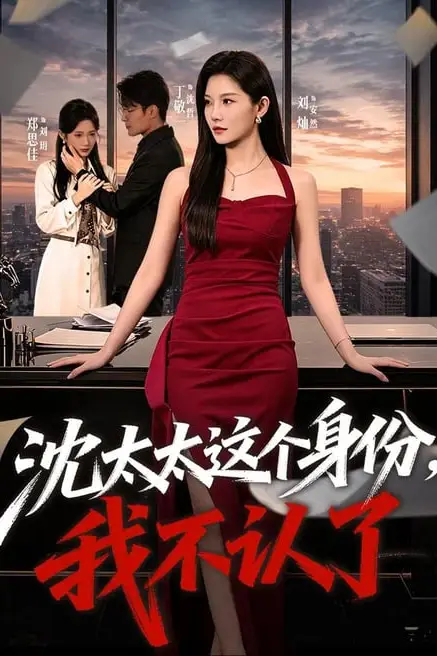 《沈太太这个身份，我不认了》封面