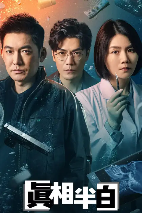 《真相半白》封面
