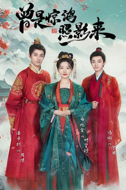 《曾是惊鸿照影来》封面