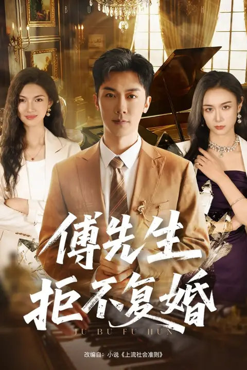 《傅先生拒不复婚》封面