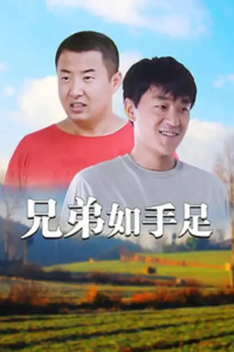 《兄弟如手足》封面