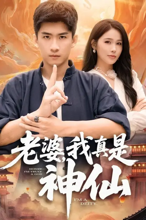 《老婆，我真是神仙》封面