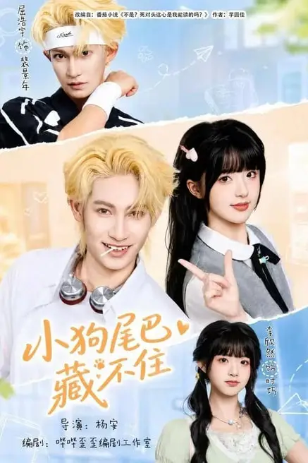 《小狗尾巴藏不住》封面
