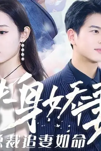 《替身娇妻：总裁追妻如命》封面