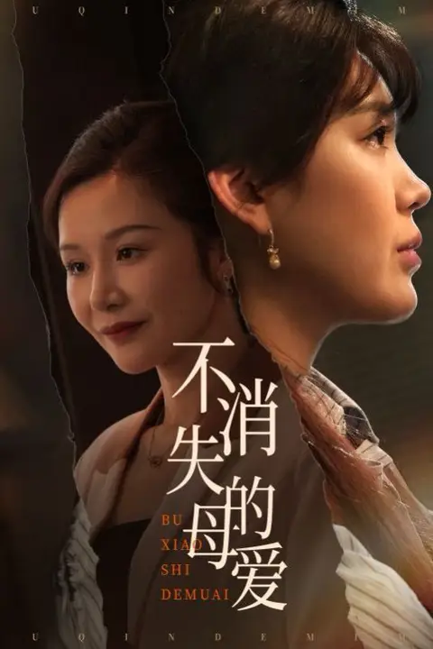 《不消失的母爱》封面
