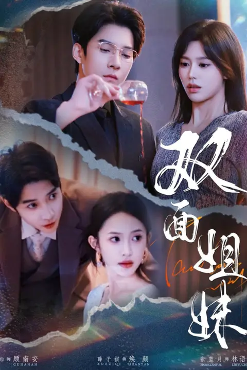 《双面姐妹》封面