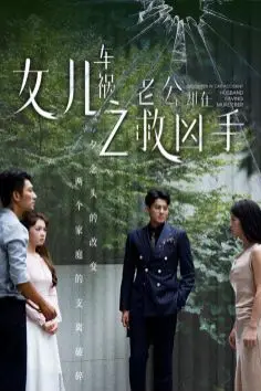 《女儿车祸之老公却在救凶手》封面