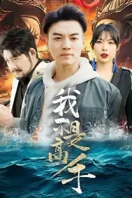 《我不是高手》封面
