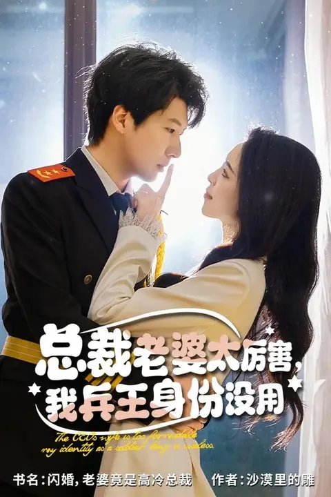 《总裁老婆太厉害,我兵王身份没用》封面