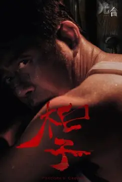 《光合计划》封面