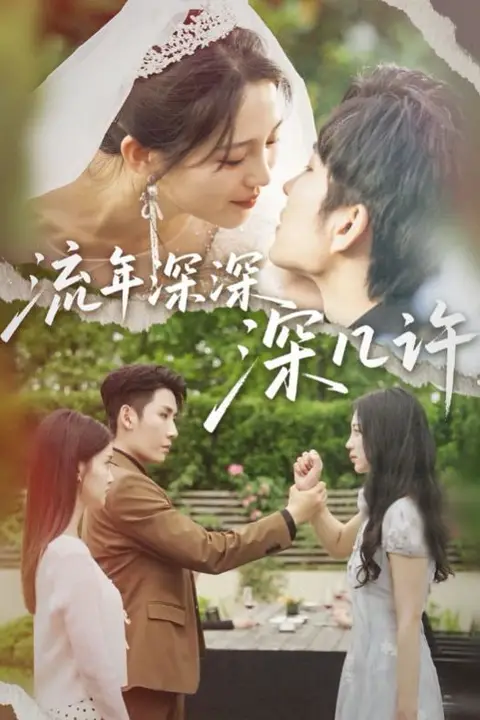 《流年深深深几许》封面