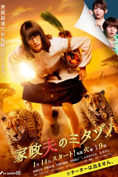 《家政夫三田园7》封面