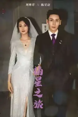 《摘星之旅》封面