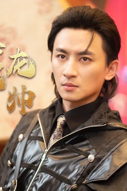 《真假龙帅》封面